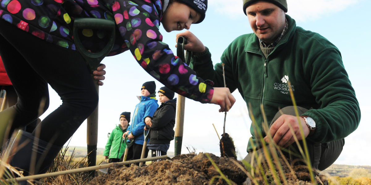 Get planting with Yorkshire Tree